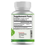 Moringa Oleifera 800mg - 100% Pure Leaf Powder for Energy, Metabolism & Immune Support - Natural Superfood Supplement, 60ct